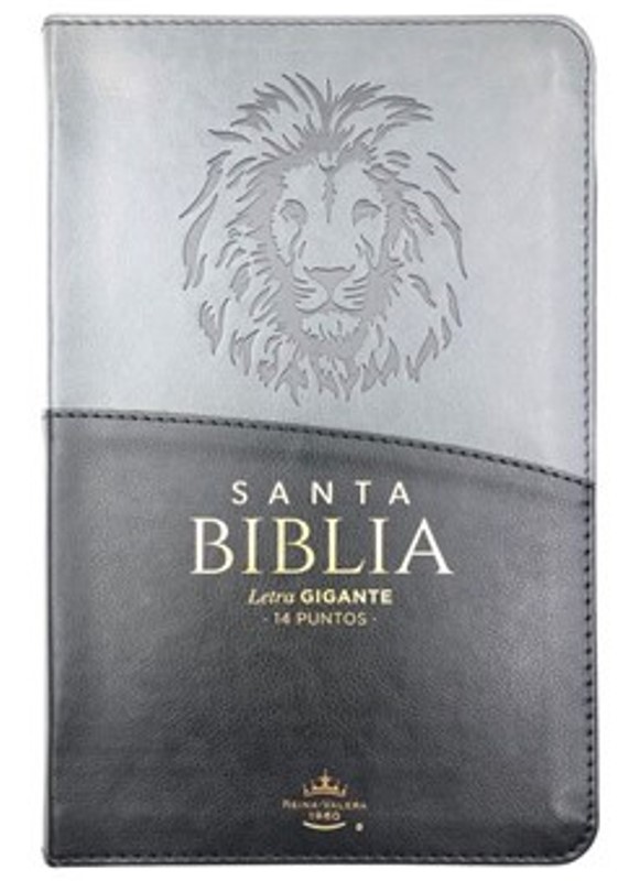 Biblia RVR 1960 letra grande cremallera índice duo tono grises