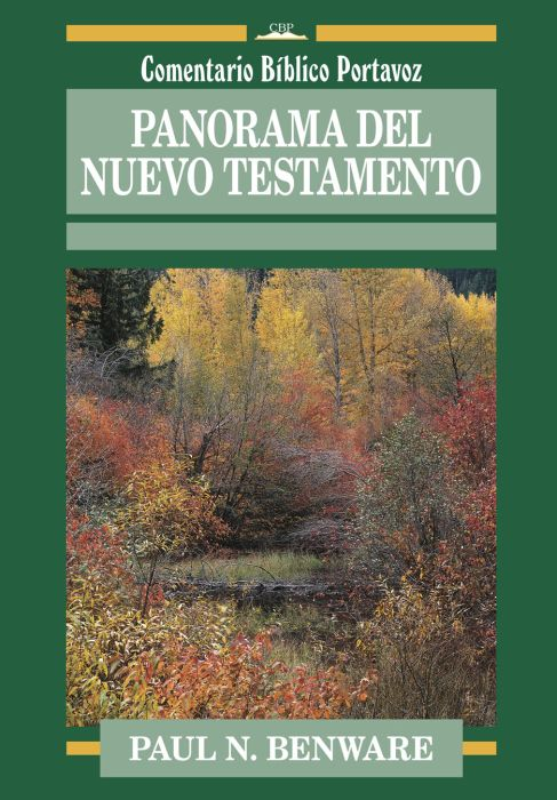 comentario 