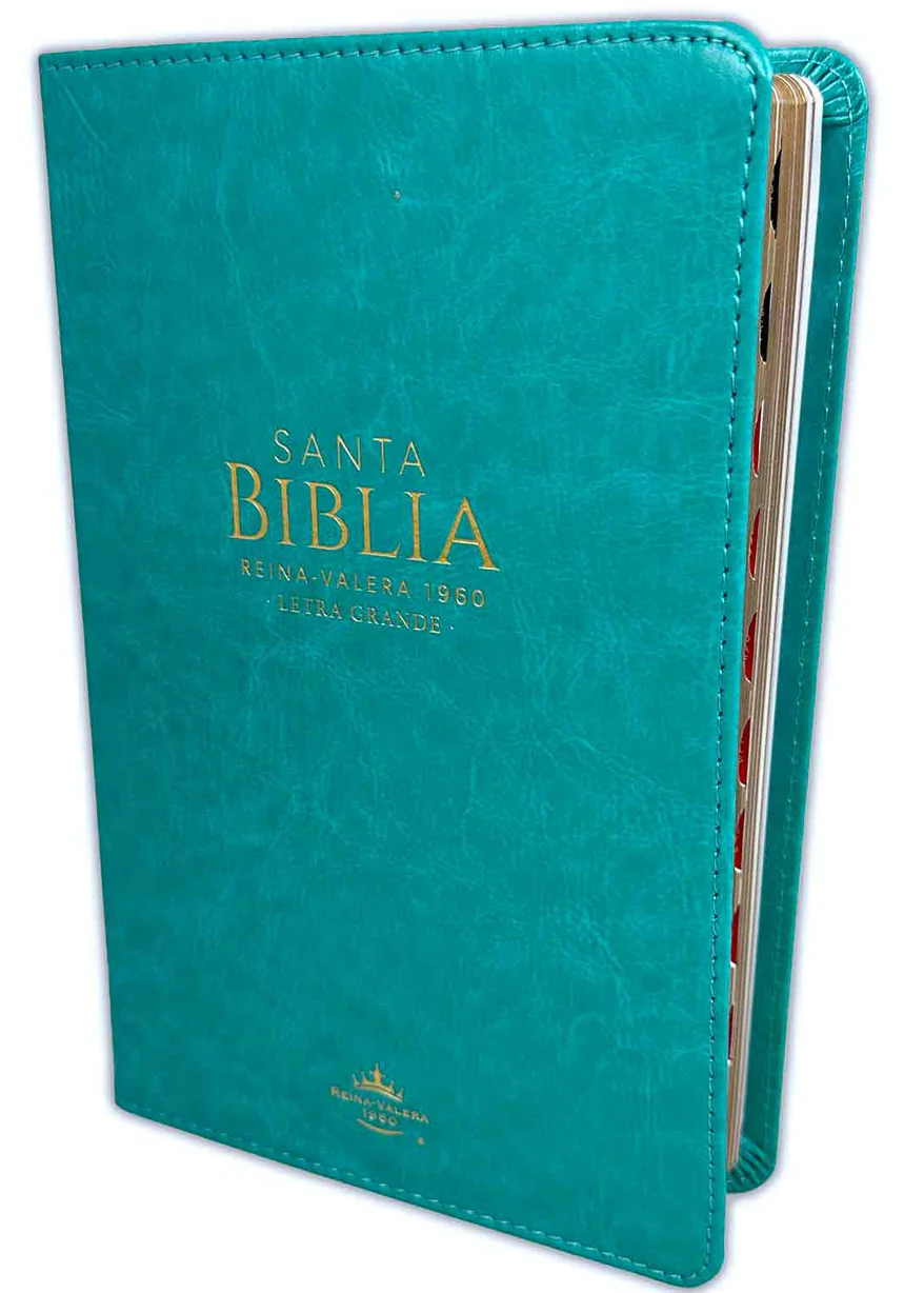 BIBLIA 1960