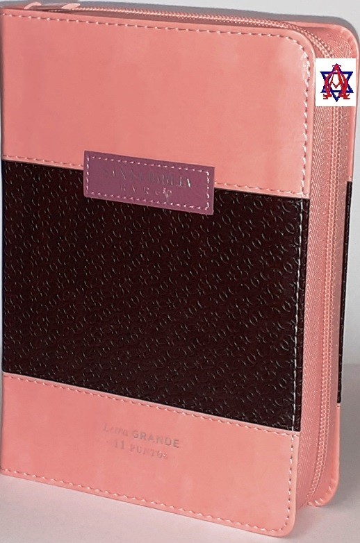 biblia reina valera 1960