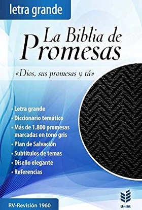 Biblia promesas rvr 1960