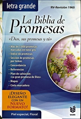 Biblia Promesas LG floral ind