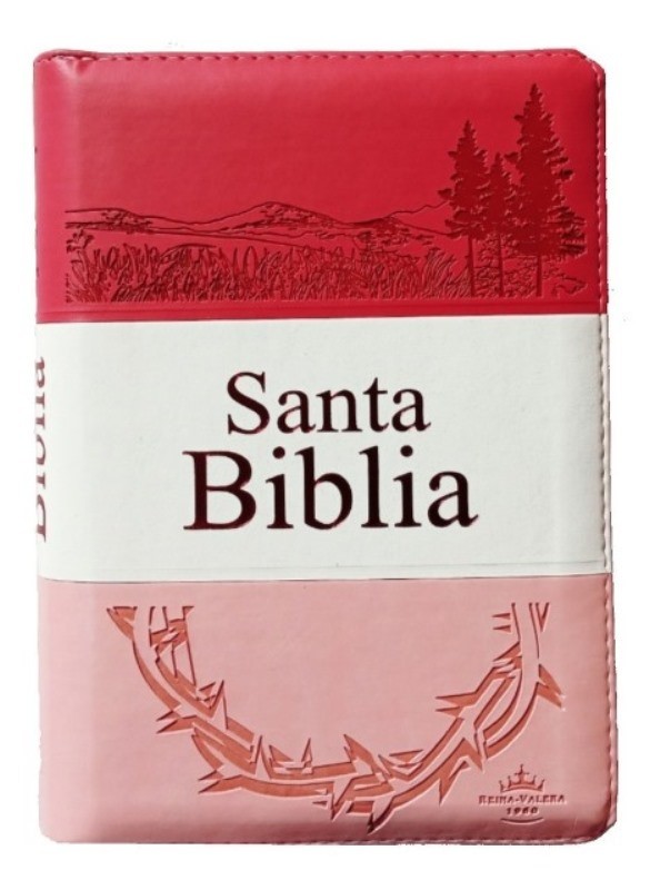 biblia rvr 1960 