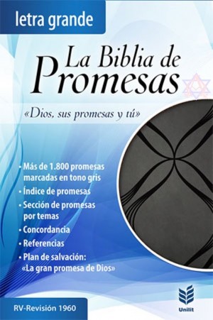 Biblia de Promesas - RVR 1960, Letra Grande