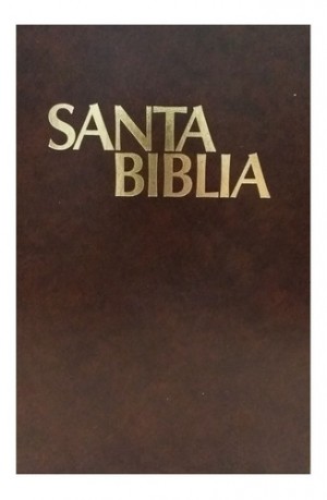 biblia version moderna 