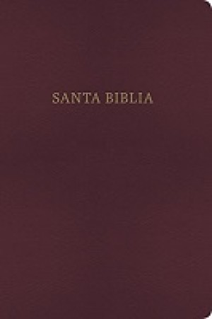 Biblia-bilingue-kjv-/-rvr-1960