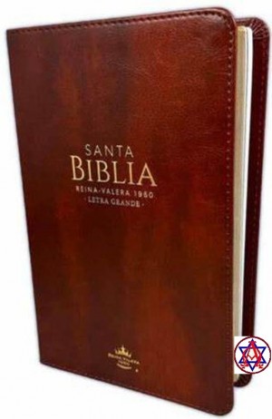 biblia letra grande 