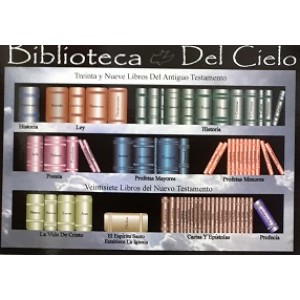 Biblioteca del Cielo  para adultos 