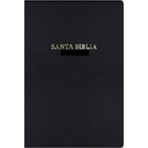 biblia bilingüe RV60 KJV SOFT COVER