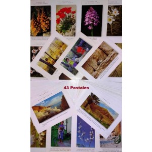 Postales Oasis  con versículos bíblicos 