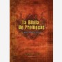 Biblia de Promesas Edición Jóvenes 