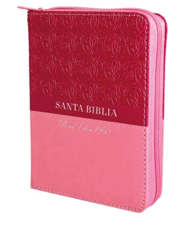 biblia