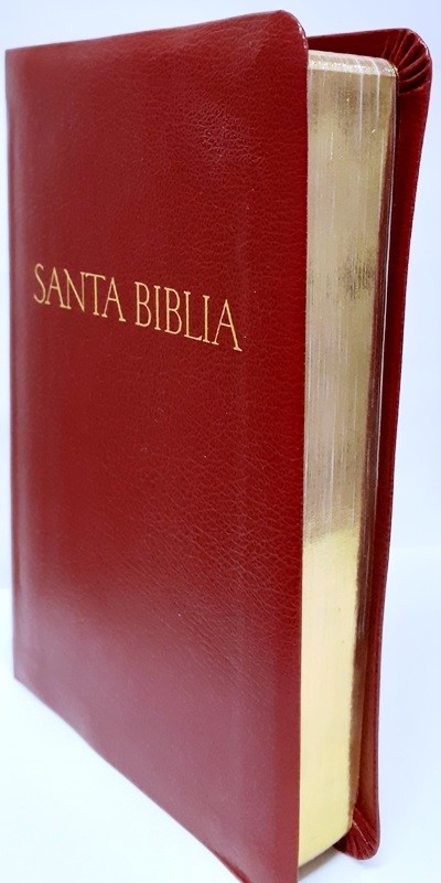 biblia las Americas color vino