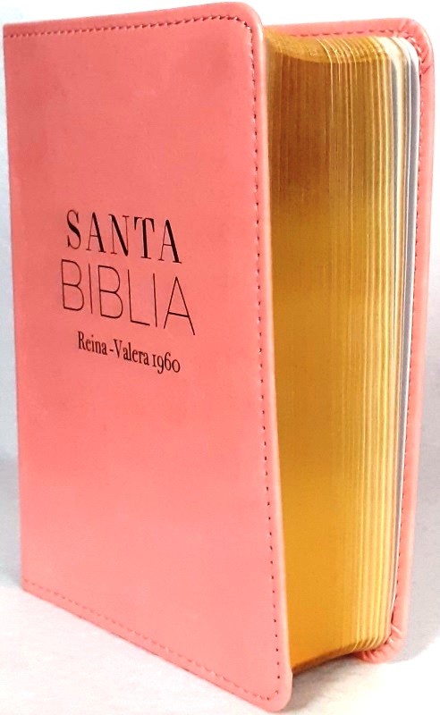 biblia rvr 1960