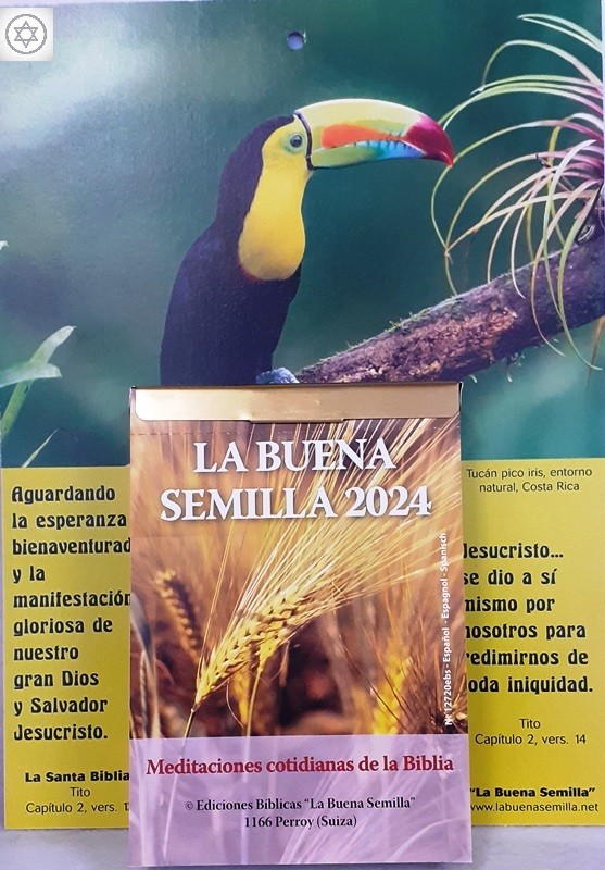 taco buena semilla