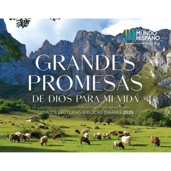 calendario 
