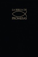 Biblia de Promesas RVR 1960 negra 