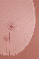 Biblia de Promesas RVR60 Inspira Letra Grande Índice piel Italiana rosa