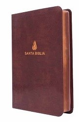 Biblia RVR60 tamaño manual letra grande piel fabricada marrón 