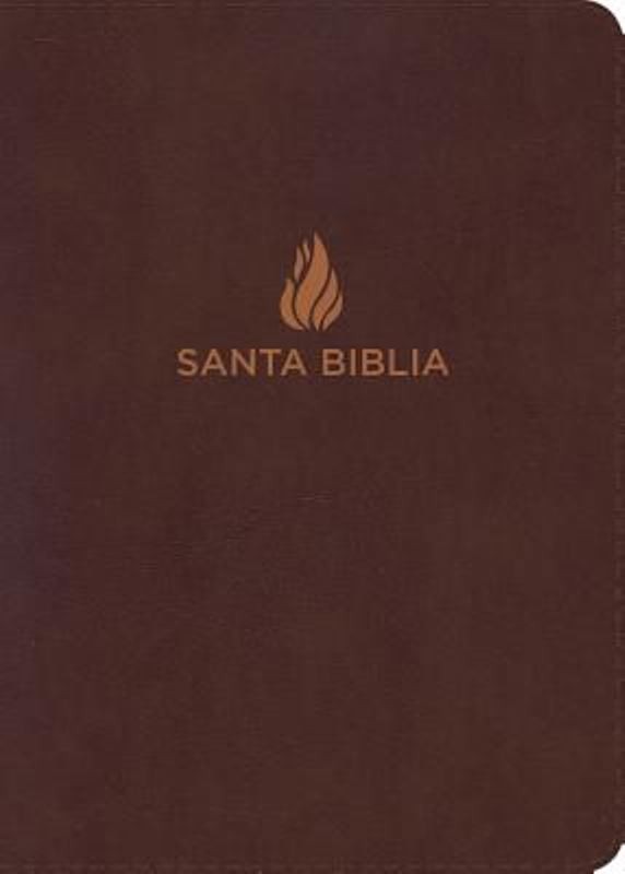 Biblia RVR 1960  Letra Grande Manual piel fabricada índice marrón