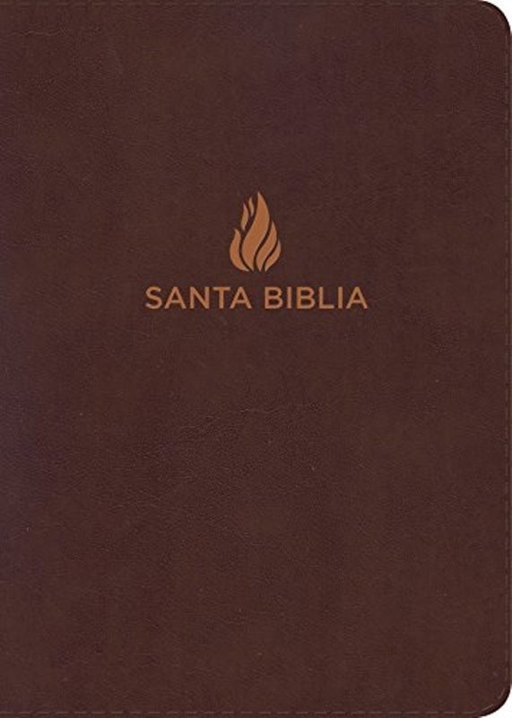 Biblia NVI Letra Gigante piel fabricada marrón