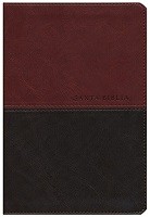 Biblia NTV manual letra grande 2 tonos 