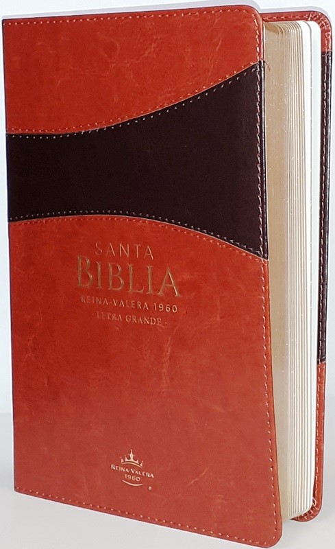 biblia rvr60 letra grande 