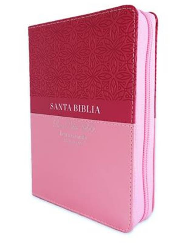 biblia