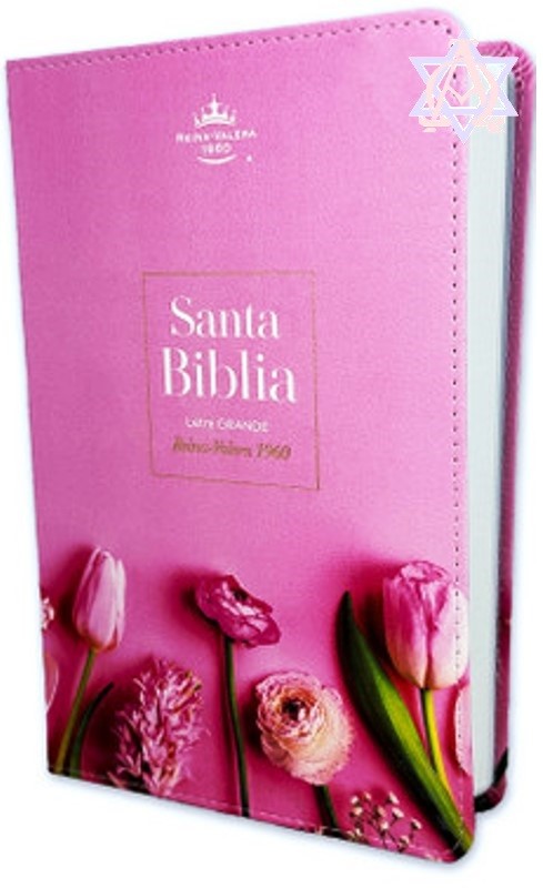 Biblia RVR 1960 Letra Grande I/Piel rosa 