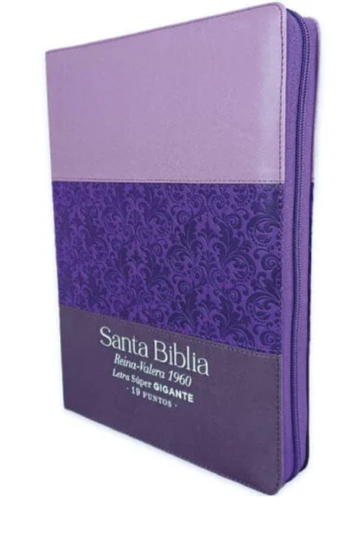 biblia rvr 1960