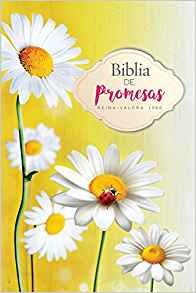 Biblia de promesas mujeres