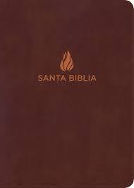 Biblia super gig. 02172