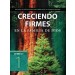 Creciendo firmes en la familia de Dios